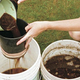 Illustration for article titled How to Protect Your Garden During the Hot Summer